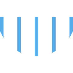 Geometric Business Shape