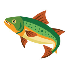 trout fish on white background