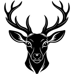 Fototapeta premium deer head vector,deer, illustration, ,animal, vector, reindeer