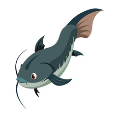 catfish on white background