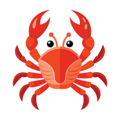 red crab isolated on white