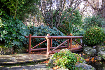 wooden bridge in the park