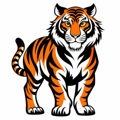 tiger vector and illustration