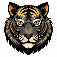 tiger vector and illustration