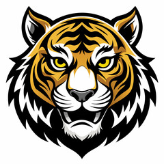 tiger vector and illustration
