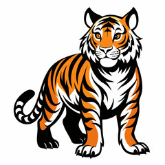 tiger vector and illustration