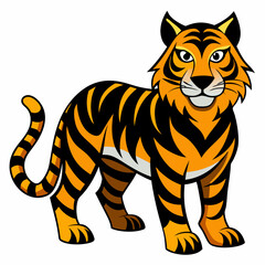 tiger vector and illustration