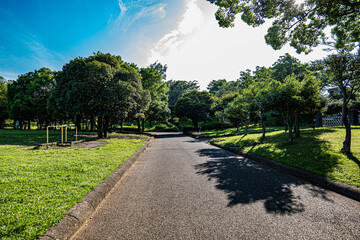 横浜の街ー公園05