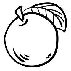 Outline apple, a simple outline fruit in a hand drawn doodle style