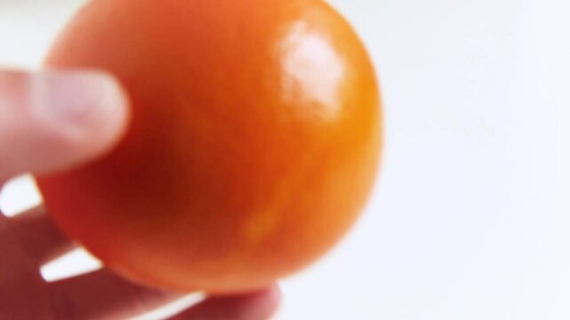 hand places an orange in a white background with copy space