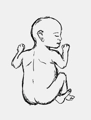 Hand drawn newborn baby vector sketch, illustration