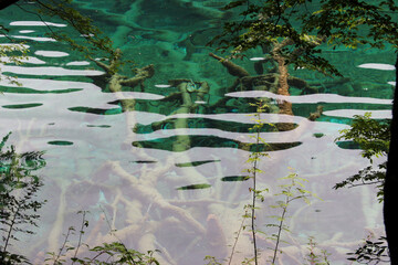 the river in the jungle, Jiuzhaigou Valley Scenic, Sichuan, China