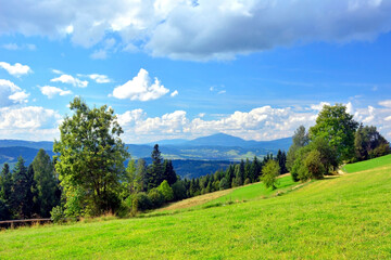 View of the Beskids mountains in summer sunny day, Poland