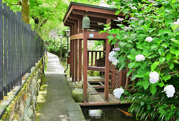 いがわこみちの風景　岐阜県郡上市八幡町