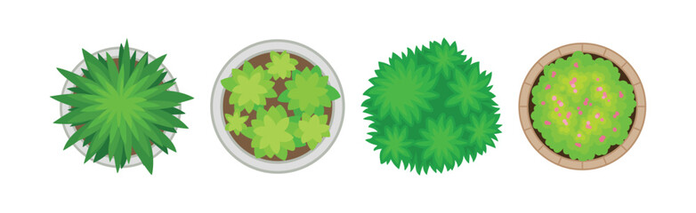 Green Round Bush Growth as Landscape Design Element Vector Set © Happypictures