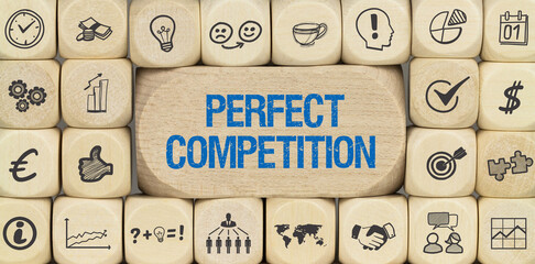 Perfect Competition	