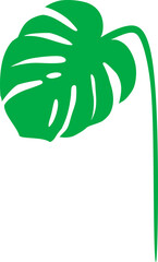 Tropical Swiss Cheese Plant Leaf - Monstera 