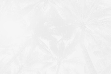 Abstract white tropical nature background, summer and holiday background
