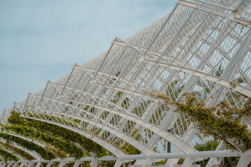 Detailed view of a modern metal lattice structure covered with greenery. The combination of metal and nature highlights contemporary design and sustainability.