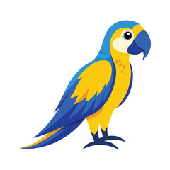 blue and yellow macaw isolated