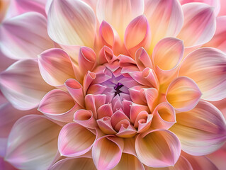 Delicate, soft pink petals of a dahlia flower unfurl from the center, showcasing intricate texture and subtle color gradations in this intimate, macro botanical portrait.