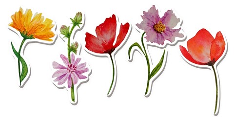 Hand drawn Set of watercolor flowers stickers white background 