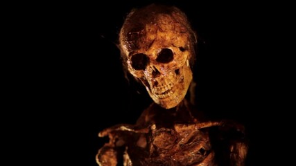 Mummy Comes From Dark