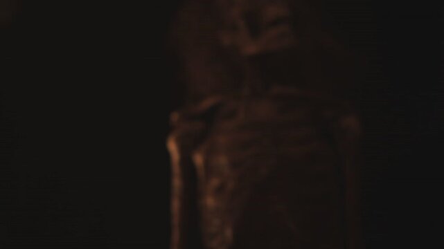 Skeleton Comes From Dark
