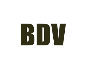 BDV Logo design vector template