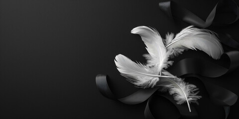 White feathers on dark background with black ribbons symbolizing funeral, obituary, necrology and memorial announcement concept, copy space