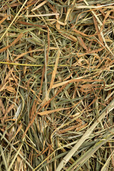 dry grass hay for animal feeding