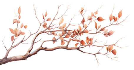 PNG Branch sketch plant leaf.