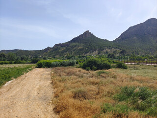 Agriculture in Spain