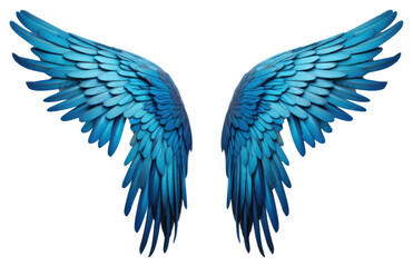 PNG Flying bird lightweight feather.