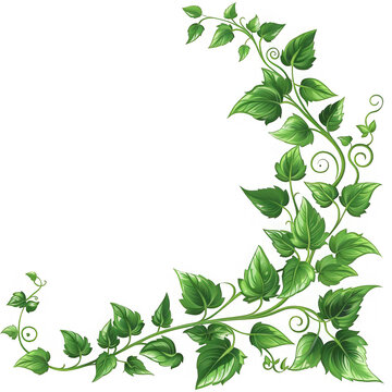 Green Vine Corner Border.