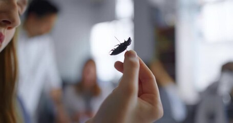 Dried Beetles In Hand Of Teen Girl Student In Biology Class, Closeup, Pupils Studying Entomology - Powered by Adobe
