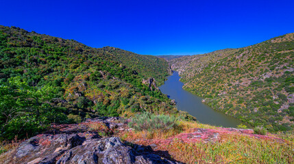 Obraz premium Mirador del Duero Viewpoint Walking Route, Arribes del Duero Natural Park, SPA, SAC, Biosphere Reserve, Salamanca, Castilla y León, Spain, Europe