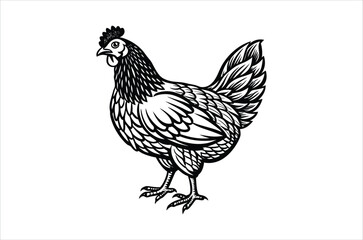 hen and chicken, chicken vector,  icon vector illustration, chicken  silhouette of a chicken isolated on a white background,  eps,  png,  svg,  vector 