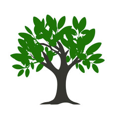 Obraz premium Olive tree green leaves. clipart icon logo Vector illustration. Isolated transparent background