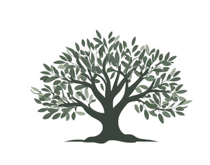 Olive tree green. clipart icon logo Vector Isolated transparent background