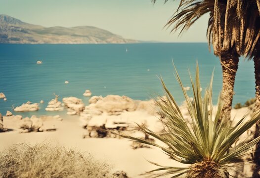 palm trees beach alia cho costa los europe greece costa precious poster aly ibiza town 60 coastal ia in vintage vacation spain postcard mediterranean land years in playa brava