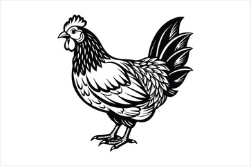 hen and chicken, chicken vector,  icon vector illustration, chicken  silhouette of a chicken isolated on a white background,  eps,  png,  svg,  vector 