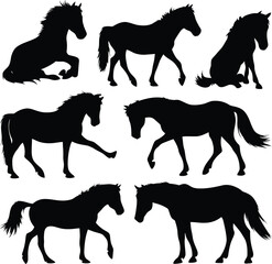 Horse silhouette Vector Illustration Of A Cute Horse set Silhouette
