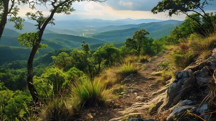 Obraz premium On the mountainside where the shadows img