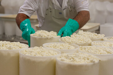 making of ricotta cheese preparation step local dairy farm