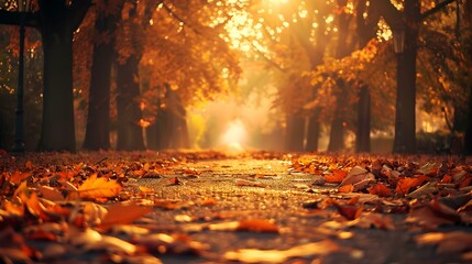 An autumn park with an alley covered picture