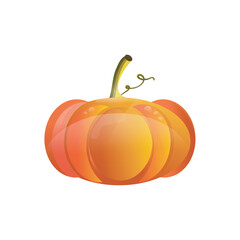Autumn Pumpkin Vector Illustration