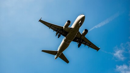 Obraz premium Bottom View of a Plane Flying Against a Blue Sky