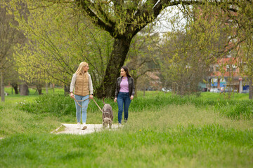 Two women walking dog in park on sunny spring day