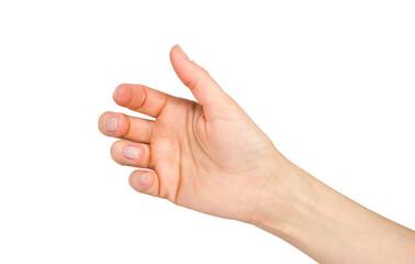 A woman's hand is holding something isolated on a white background.